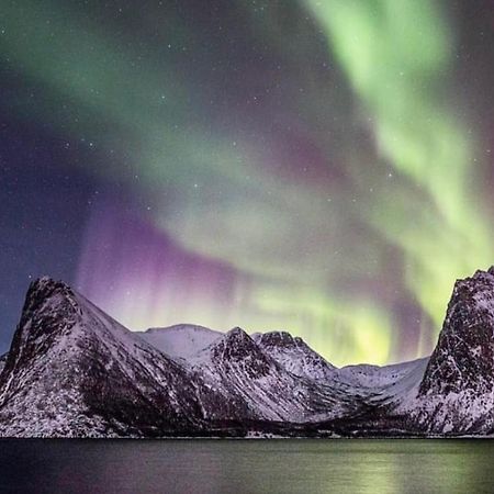 Senja Living Aparthotel Stonglandseidet Eksteriør bilde