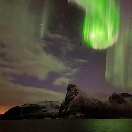 Senja Living Aparthotel Stonglandseidet Eksteriør bilde