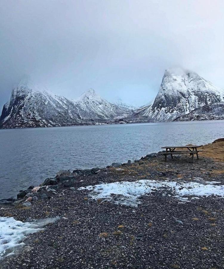 Senja Living Aparthotel Stonglandseidet Eksteriør bilde