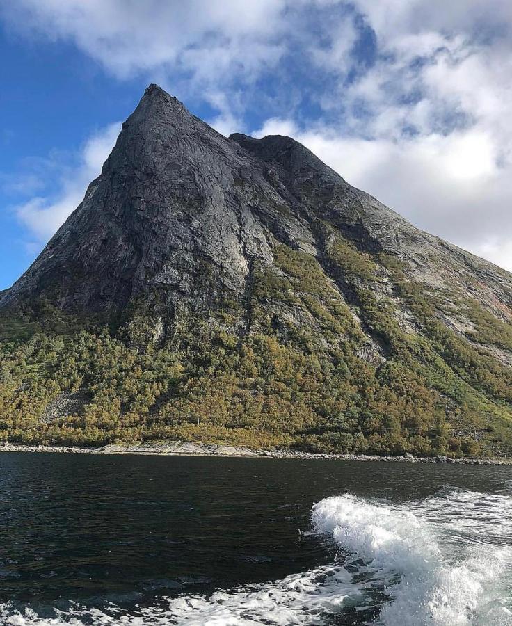 Senja Living Aparthotel Stonglandseidet Eksteriør bilde