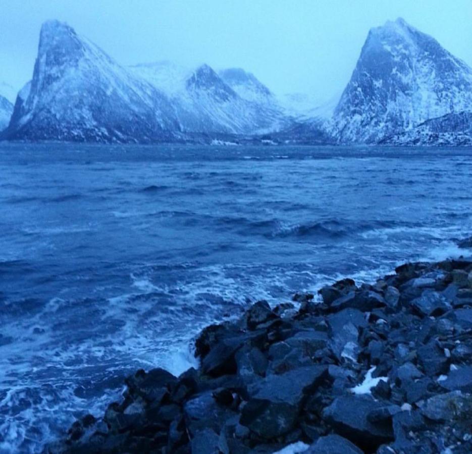 Senja Living Aparthotel Stonglandseidet Eksteriør bilde