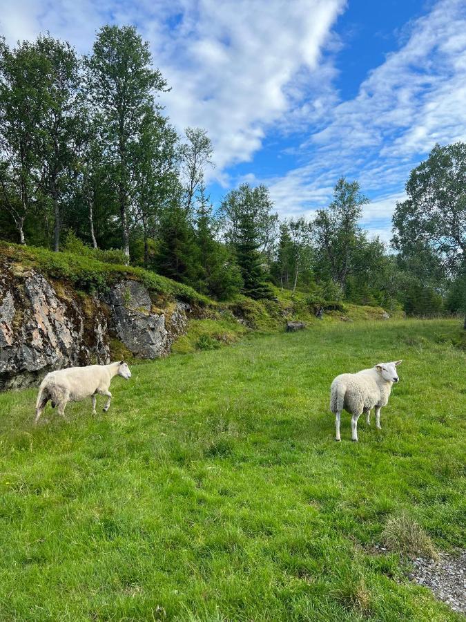 Senja Living Aparthotel Stonglandseidet Eksteriør bilde