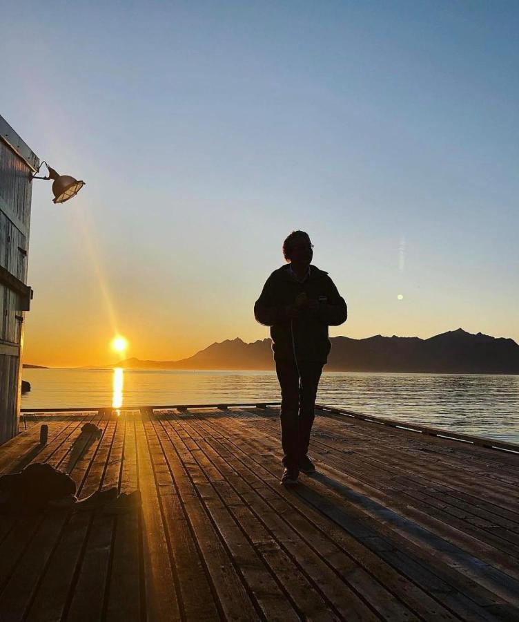 Senja Living Aparthotel Stonglandseidet Eksteriør bilde