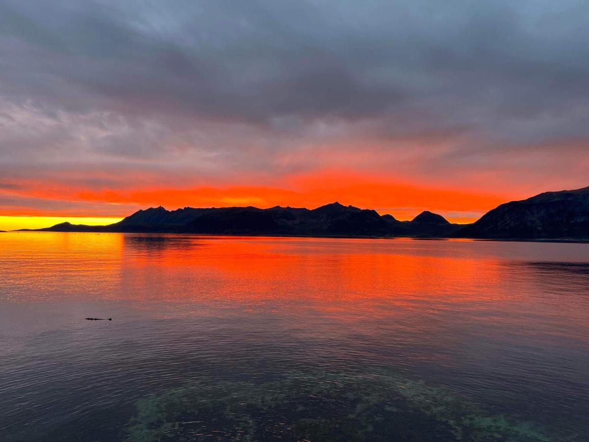 Senja Living Aparthotel Stonglandseidet Eksteriør bilde