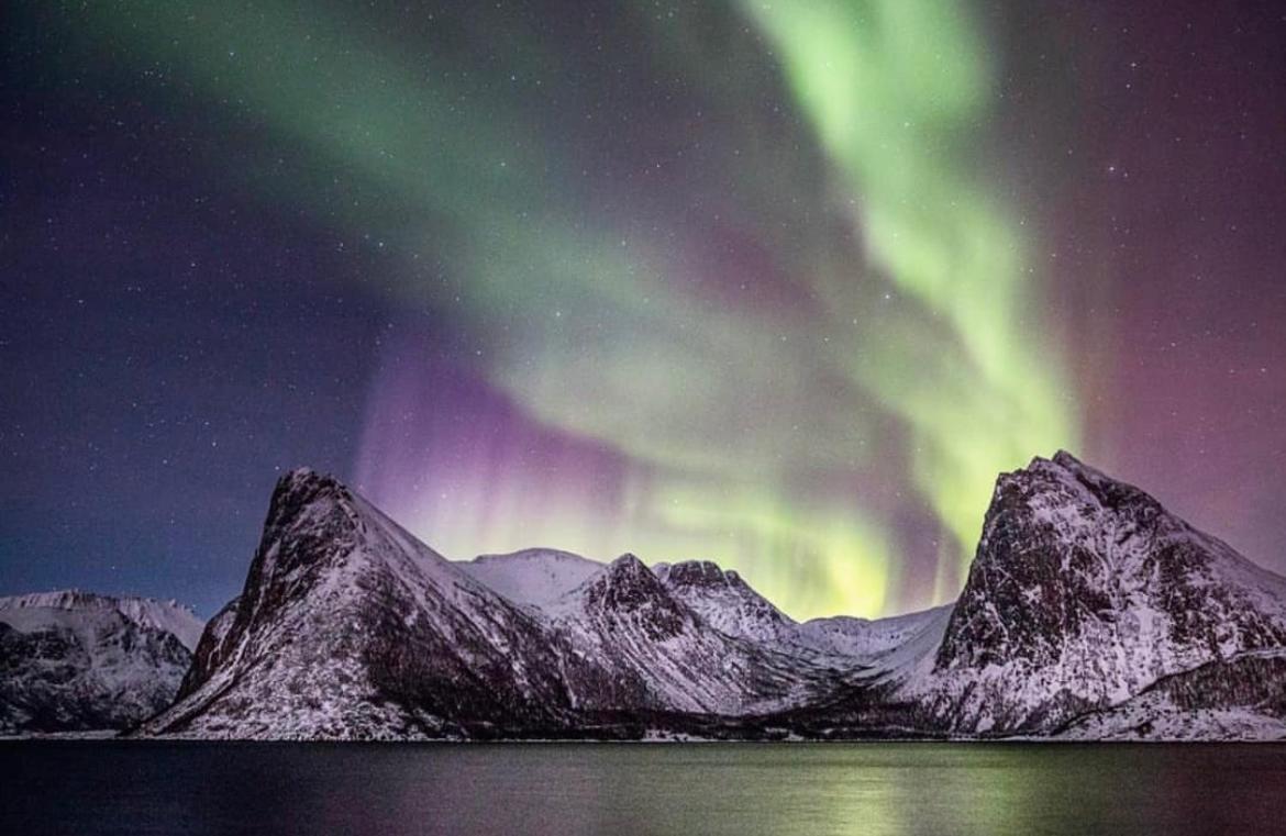 Senja Living Aparthotel Stonglandseidet Eksteriør bilde