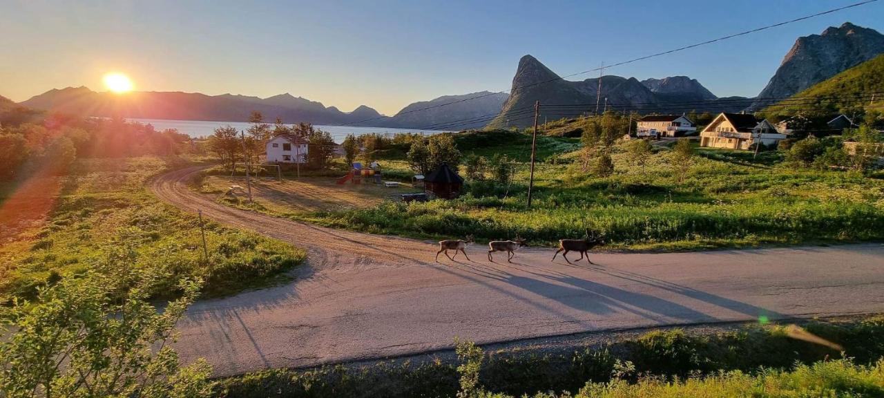 Senja Living Aparthotel Stonglandseidet Eksteriør bilde